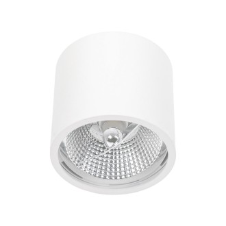 Idea led ID-5031 - Stropné kúpeľňové svietidlo SPOT CARLO 1xGU10-AR111, IP65, Ø120, biela