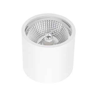 Idea led ID-5031 - Stropné kúpeľňové svietidlo SPOT CARLO 1xGU10-AR111, IP65, Ø120, biela