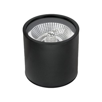 Idea led ID-5032 - Stropné kúpeľňové svietidlo SPOT CARLO 1xGU10-AR111, IP65, Ø120, čierna