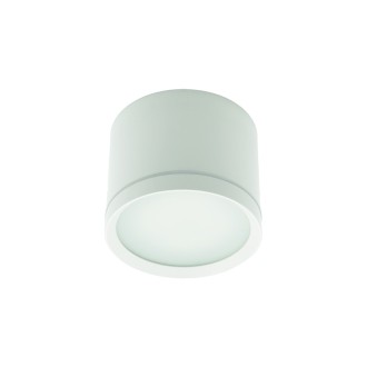 Idea led ID-5041 - Stropné kúpeľňové svietidlo SPOT MONTE 1xGX53, IP65, Ø80, biela